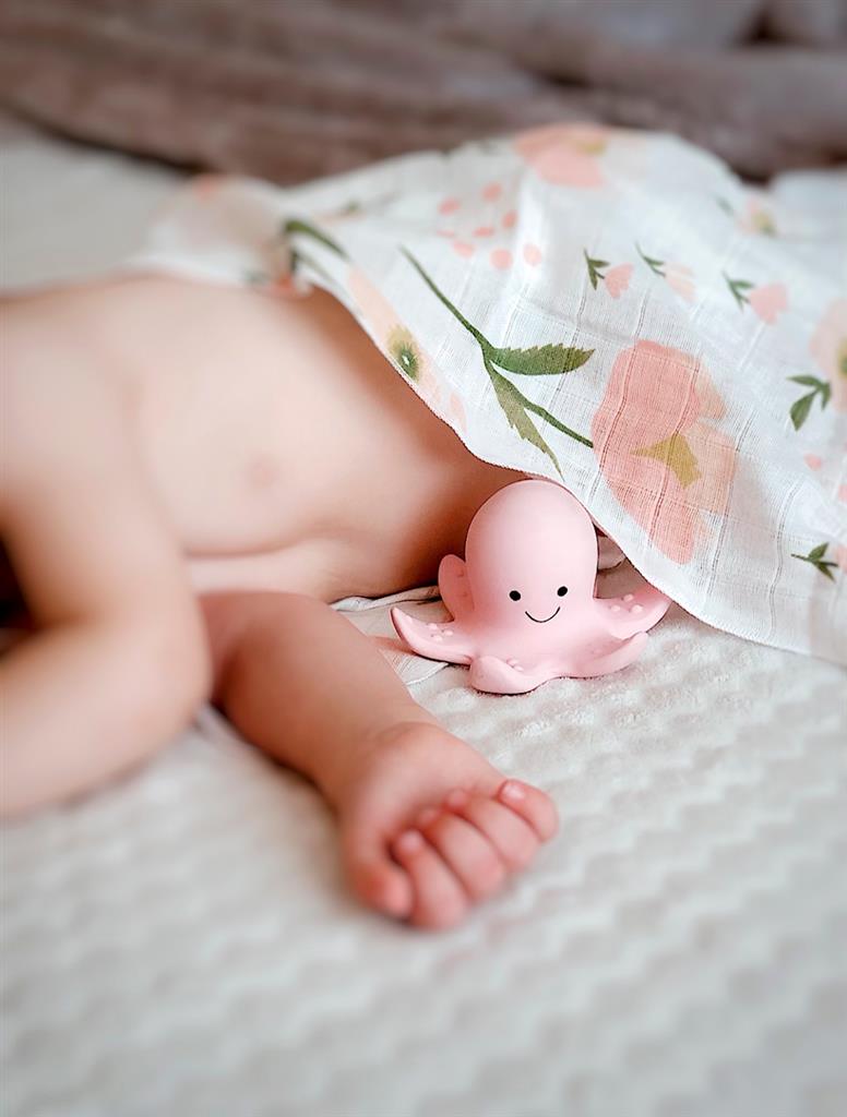 Mein erstes Meerestier – Oktopus