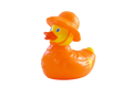 Duck Rainy Day « Puddle »