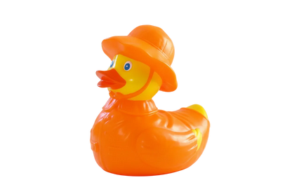 Rain -time duck