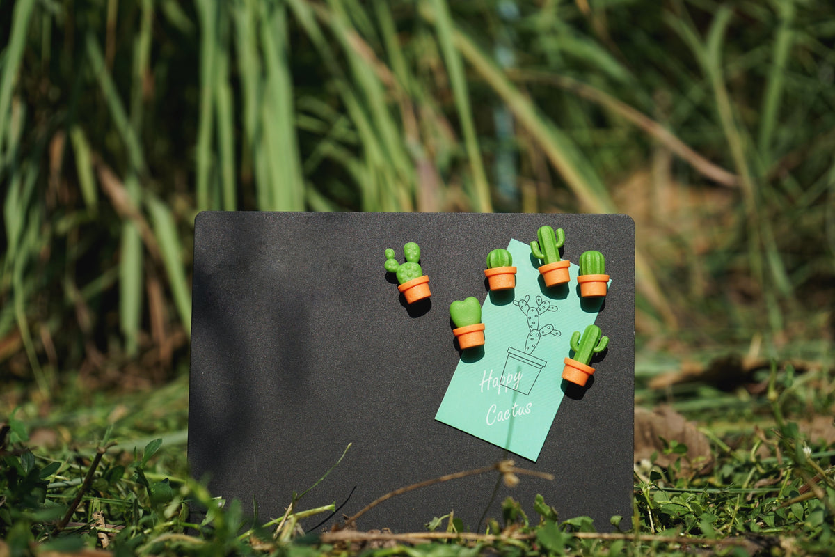 Magnets Cactus