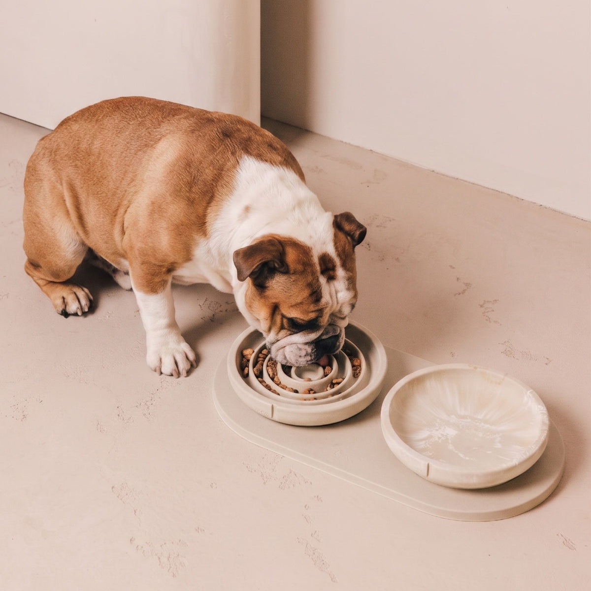 Flat Slow Feeder Bowl – main view