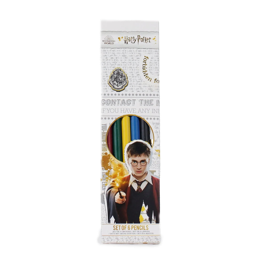Set van 6 grijze Harry Potter-potloden - Huizen 