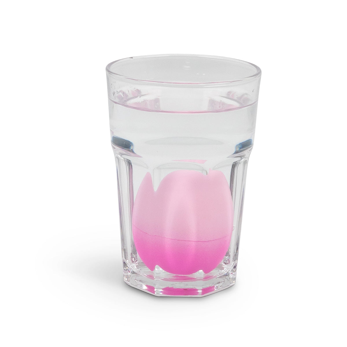 ŒUF DE CROISSANCE AXOLOTL