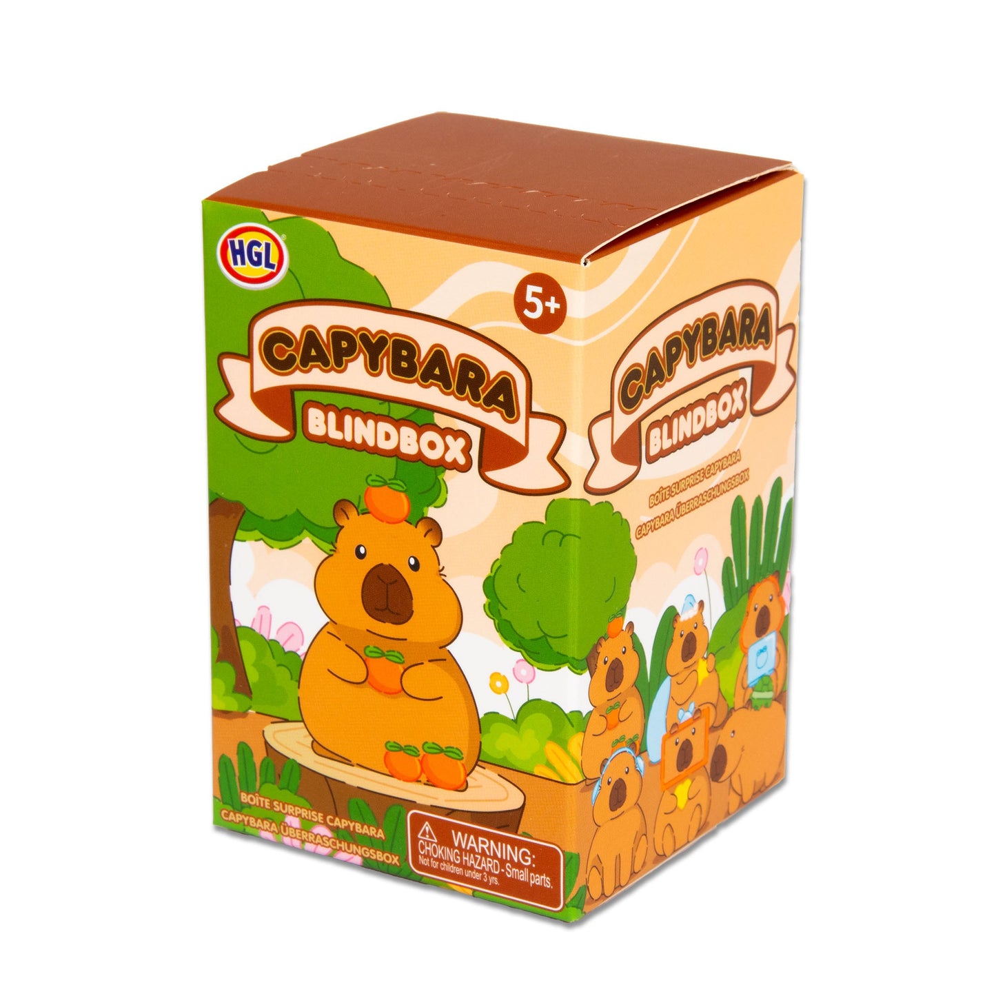 BLIND BOX CAPYBARA
