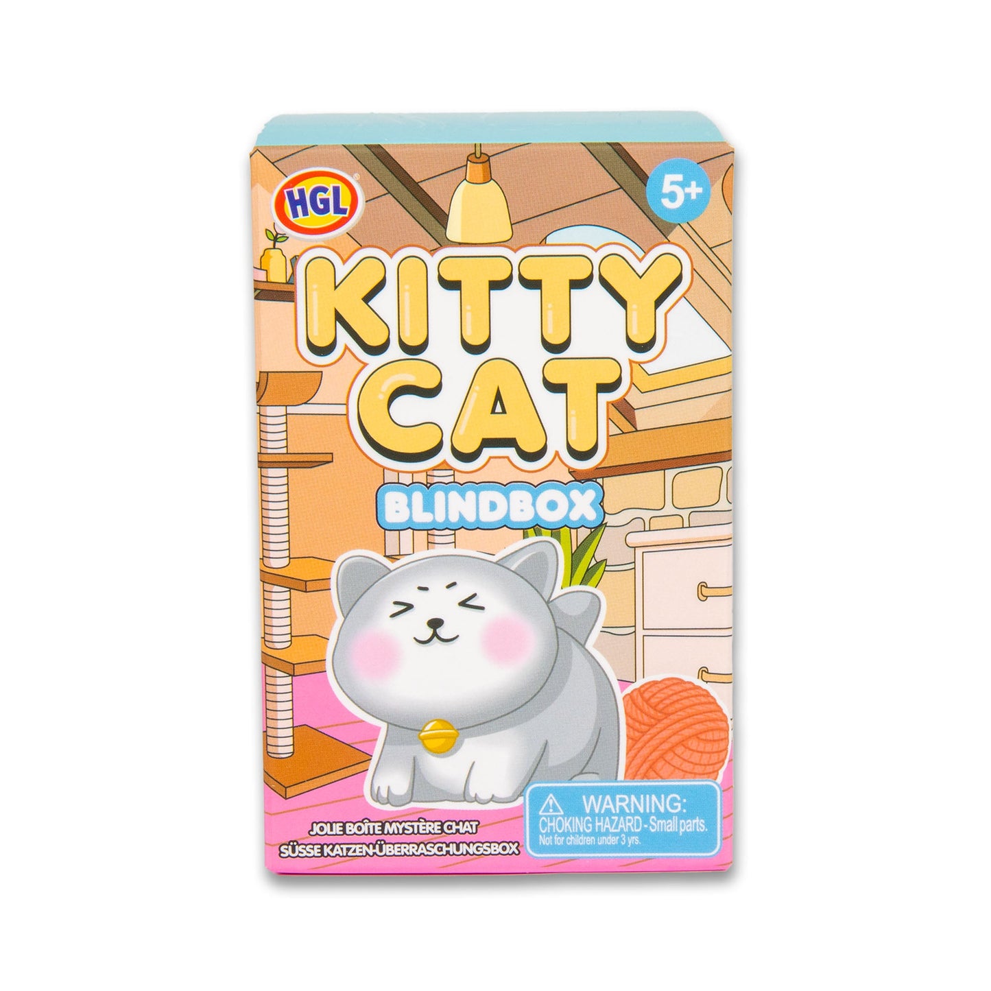BLIND BOX KITTY CAT
