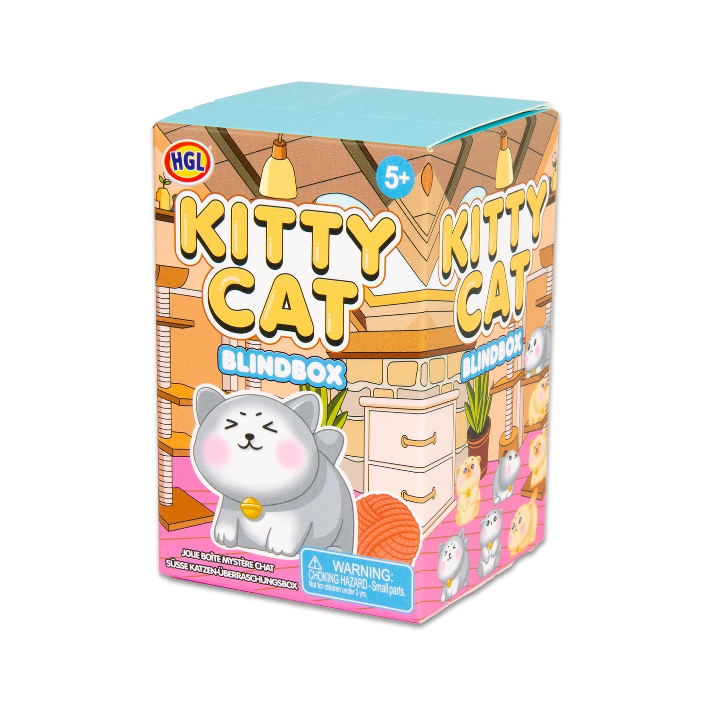 BLIND BOX KITTY CAT