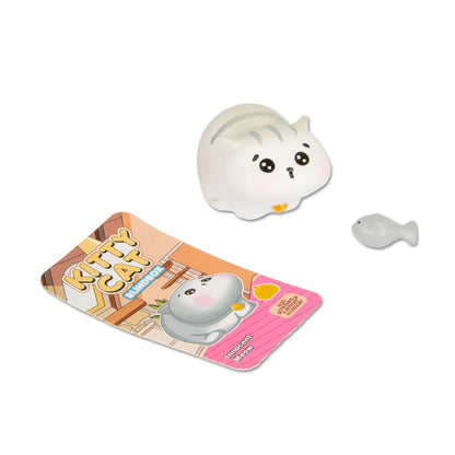 BLIND BOX KITTY CAT