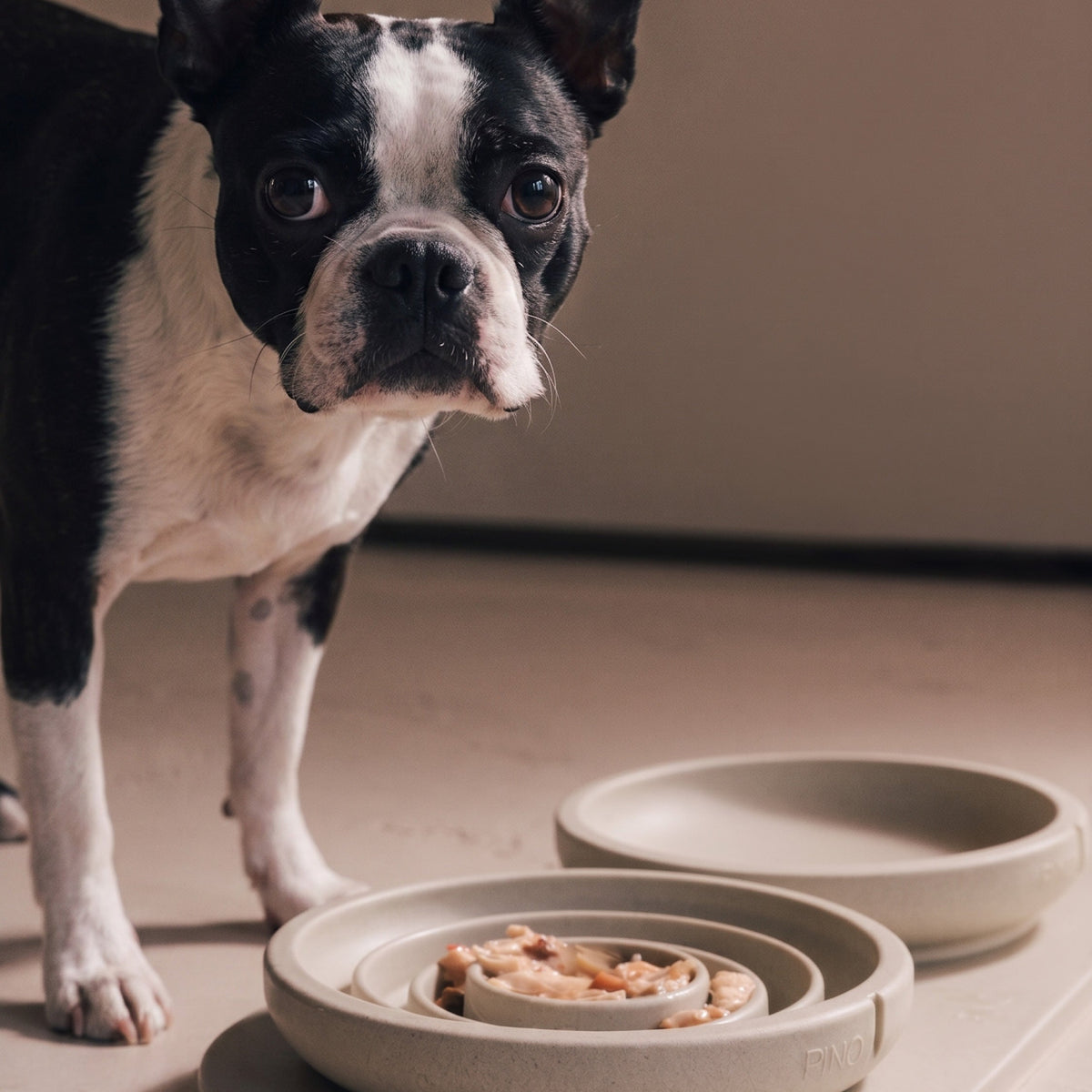Flat Slow Feeder Bowl – product view 5