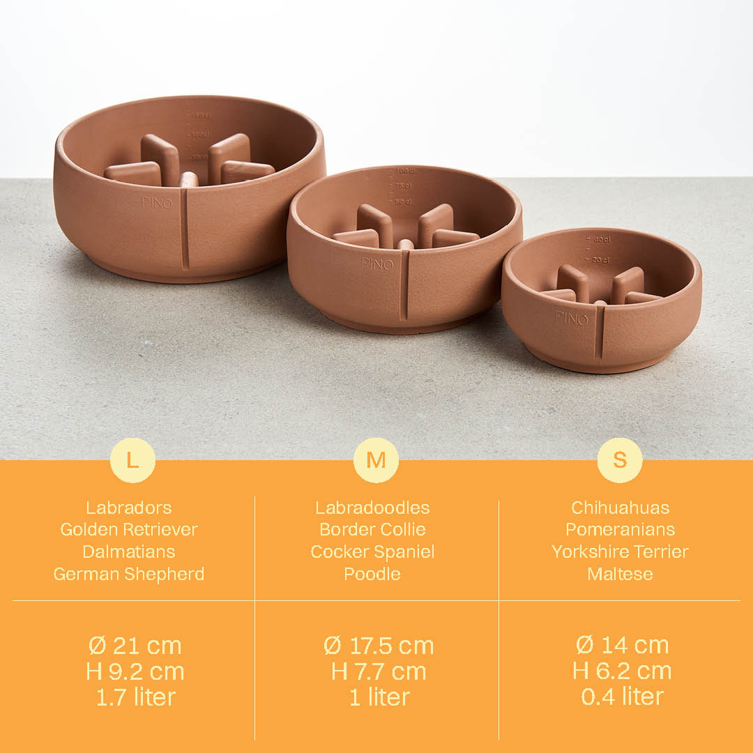 Coffret anti-glouton – vue produit 29