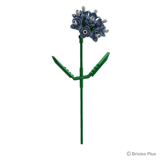 BRIXIES Plus Flowers Strandflieder