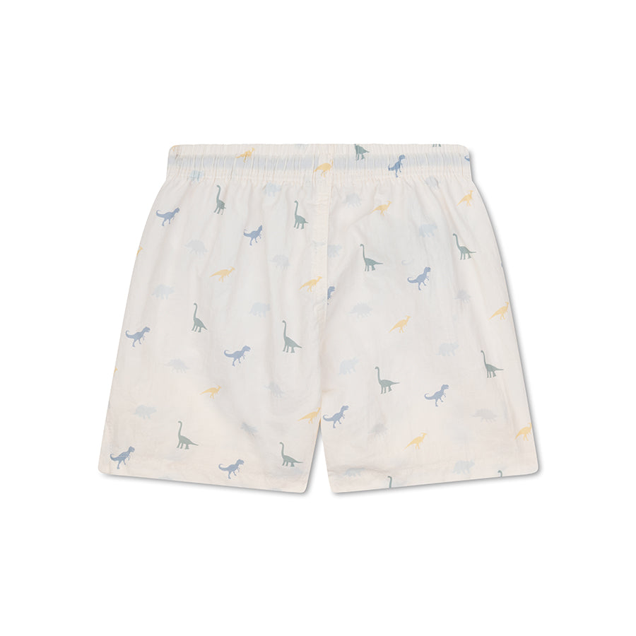 Swim Shorts - Multicolor - Dino