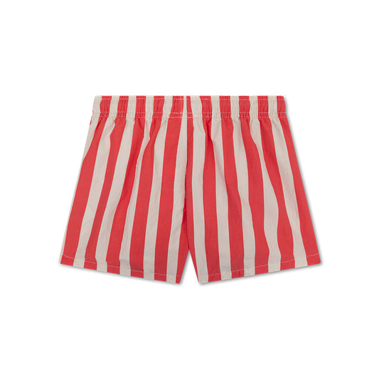Swim Shorts - Beige/Red - Lobster Stripe - Adult