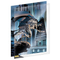 Fan-cel collector Batman