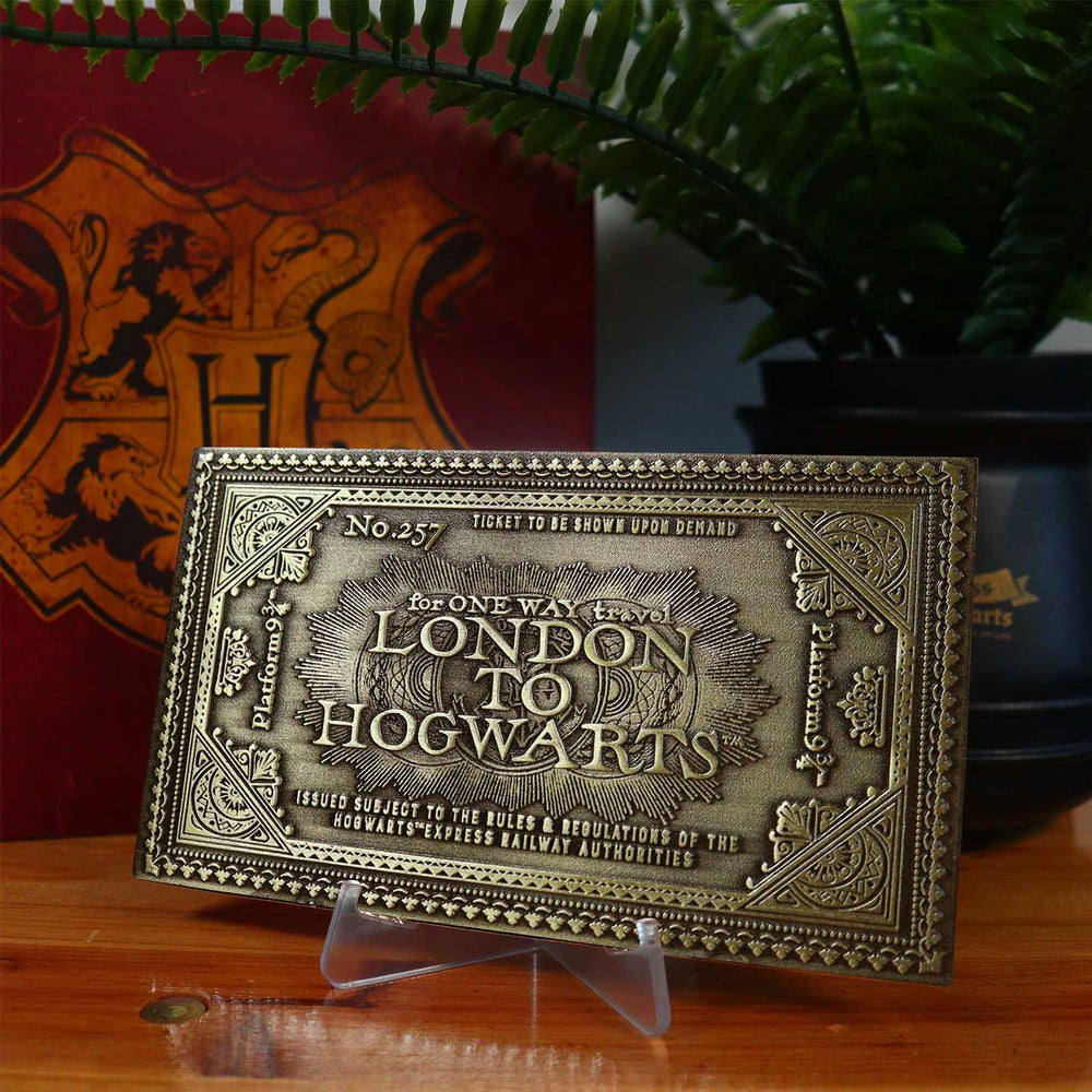 Ticket collector Harry Potter - Poudlard Express