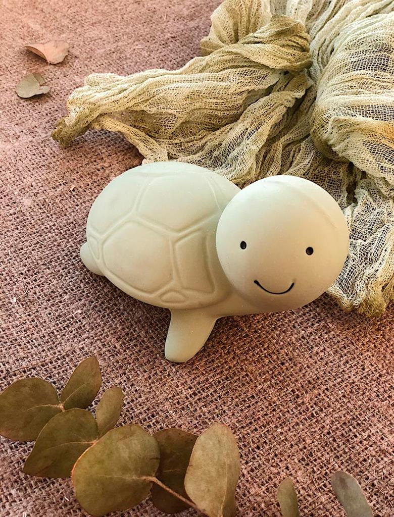 My first marine animal turtle