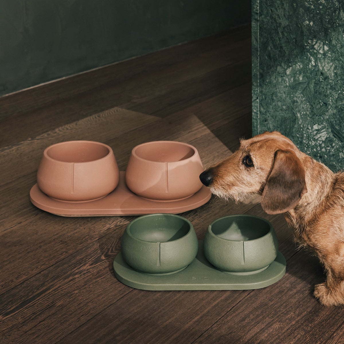 Plateau pour chiens – vue produit 69