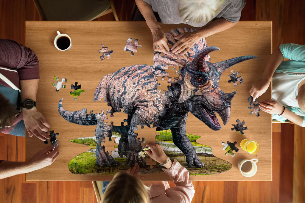 Triceratops Puzzle