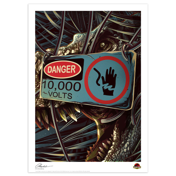 Affiche collector Jurassic Park