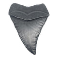 Jaws Collector's Medallion - 50th Anniversary Shark Tooth