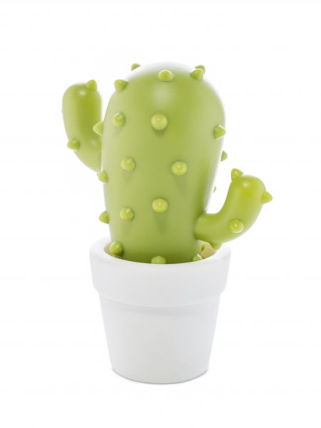 Cactus-Nachtlicht