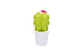 Cactus-Blüten-Nachtlicht