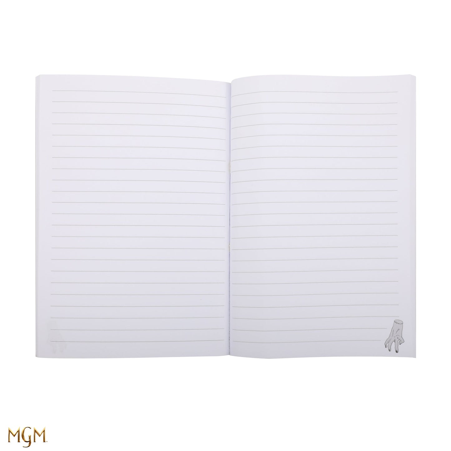 Carnet Mercredi et son violoncelle