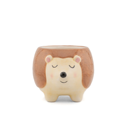 Hedgehog planter