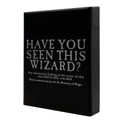 Collier Harry Potter- Prison d'Azkaban