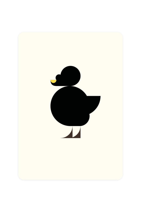 Carte postale Canard de mer Noire