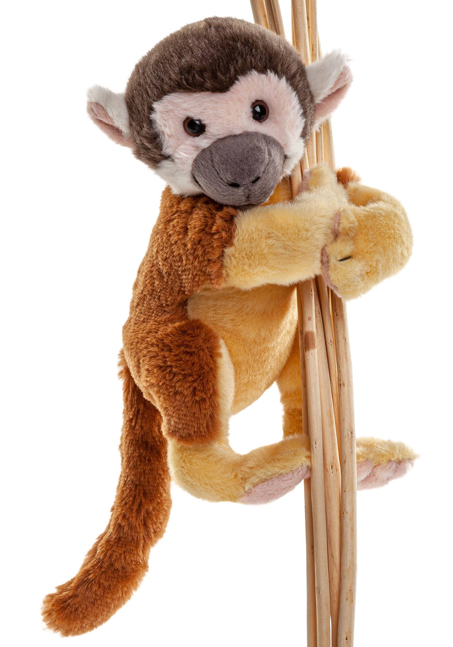 Squirrel monkey
