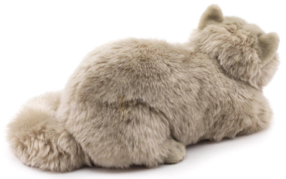 Peluche Chat Persan Gris