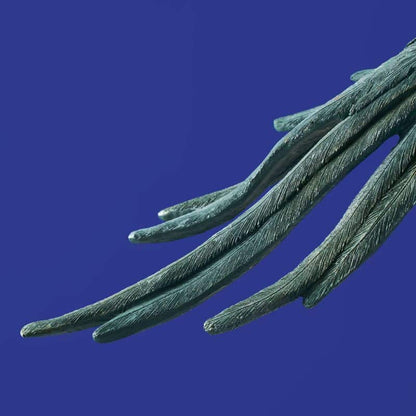 Plafonnier Perroquet Turquoise