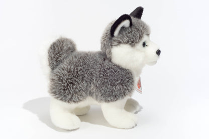 Peluche Husky debout