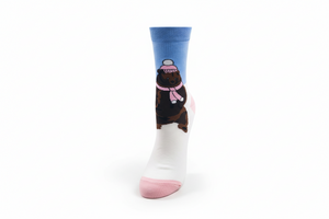 Winter Bear Socks