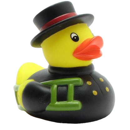 Canard Ramoneur