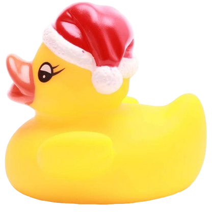Petit Canard de Noël