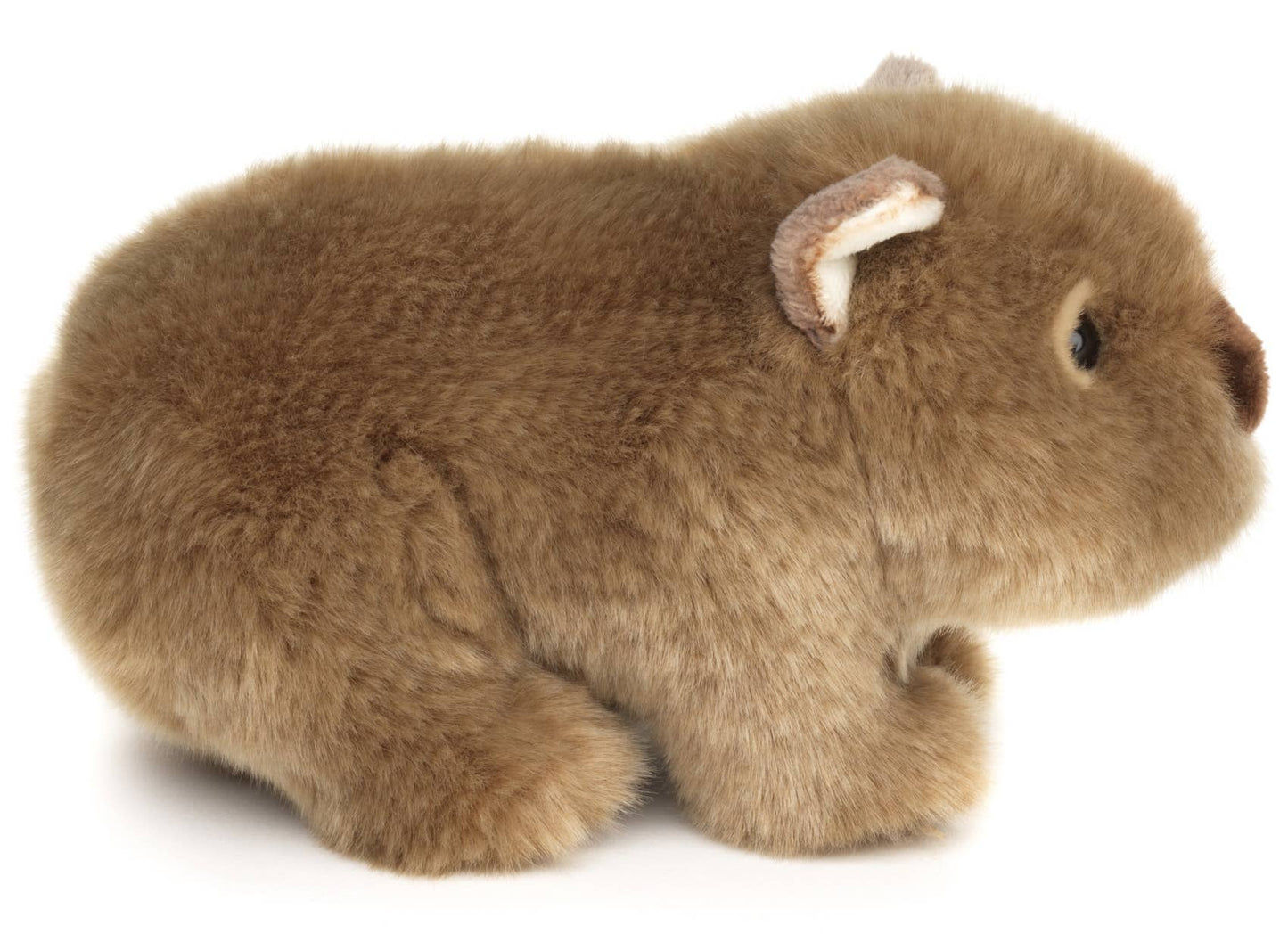 Pluche wombat
