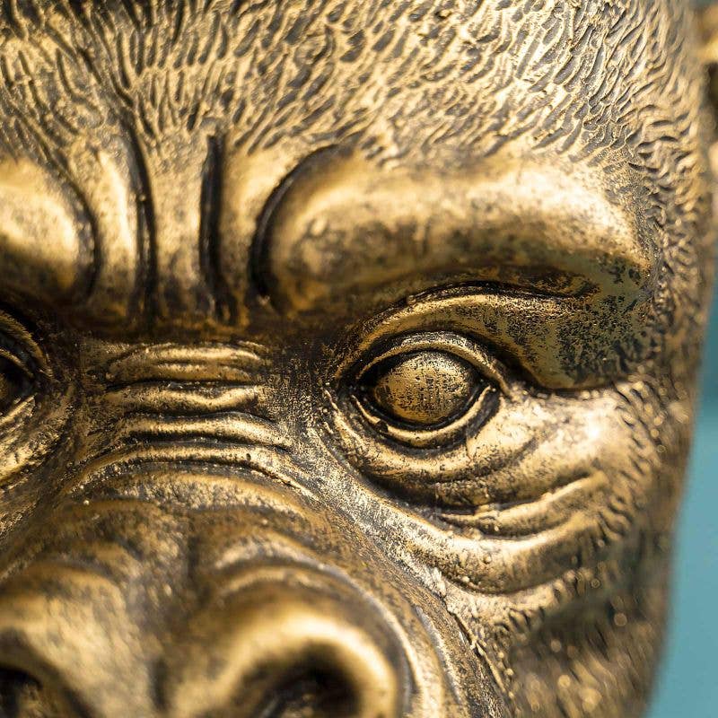 Tête de singe Kong, or