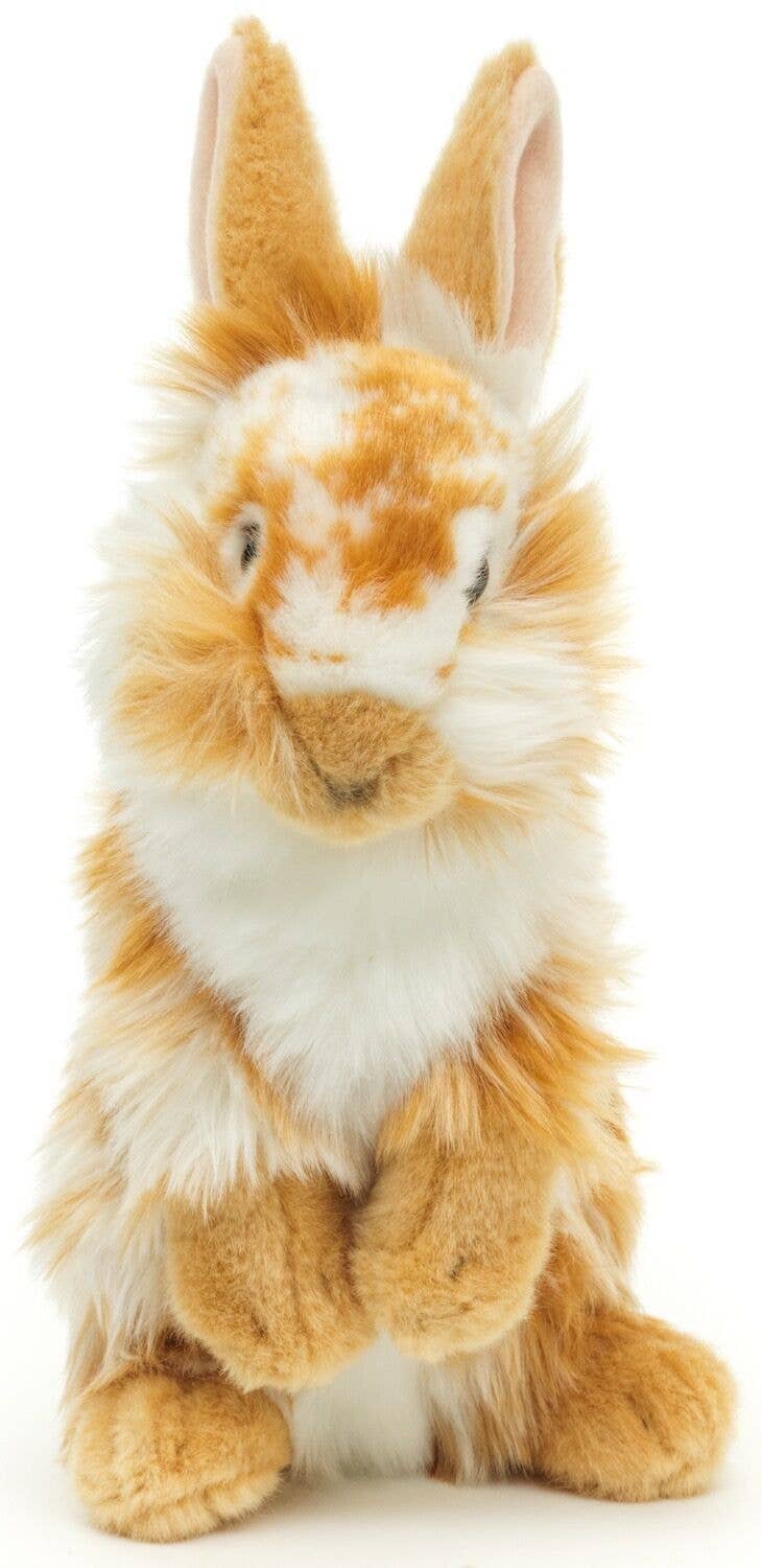 Peluche Lapin Lionhead Lève-toi. Doré