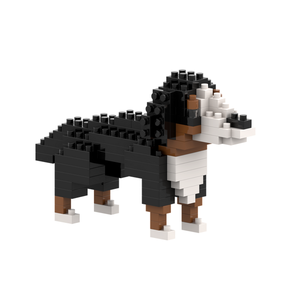 Brixies Saint Bernard