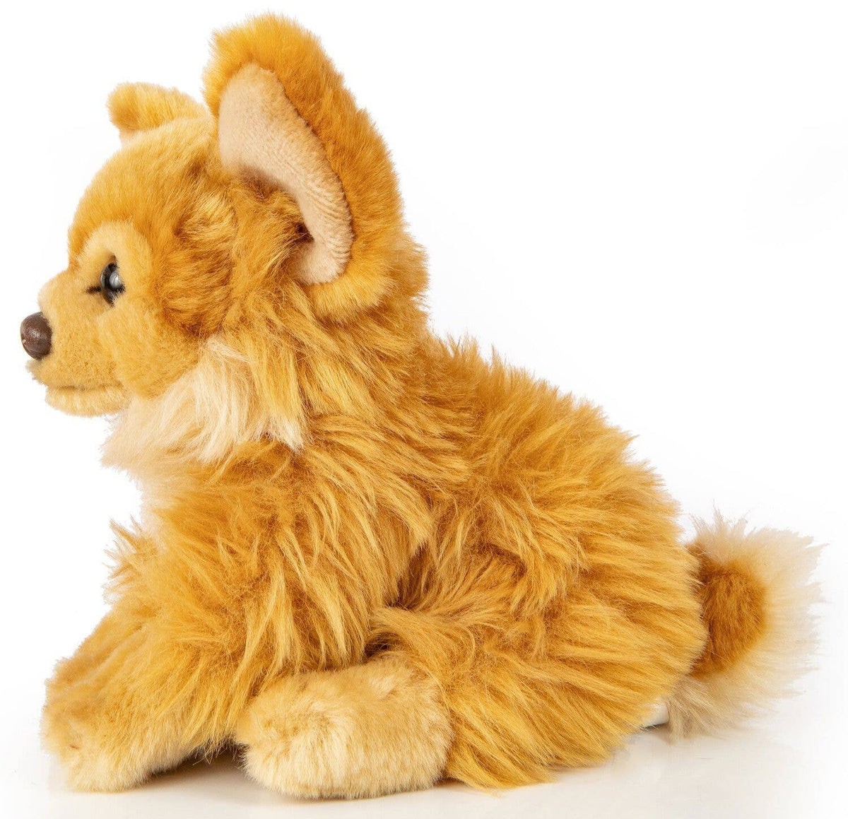 Peluche Chihuahua Marron Assis