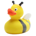 Canard Abeille