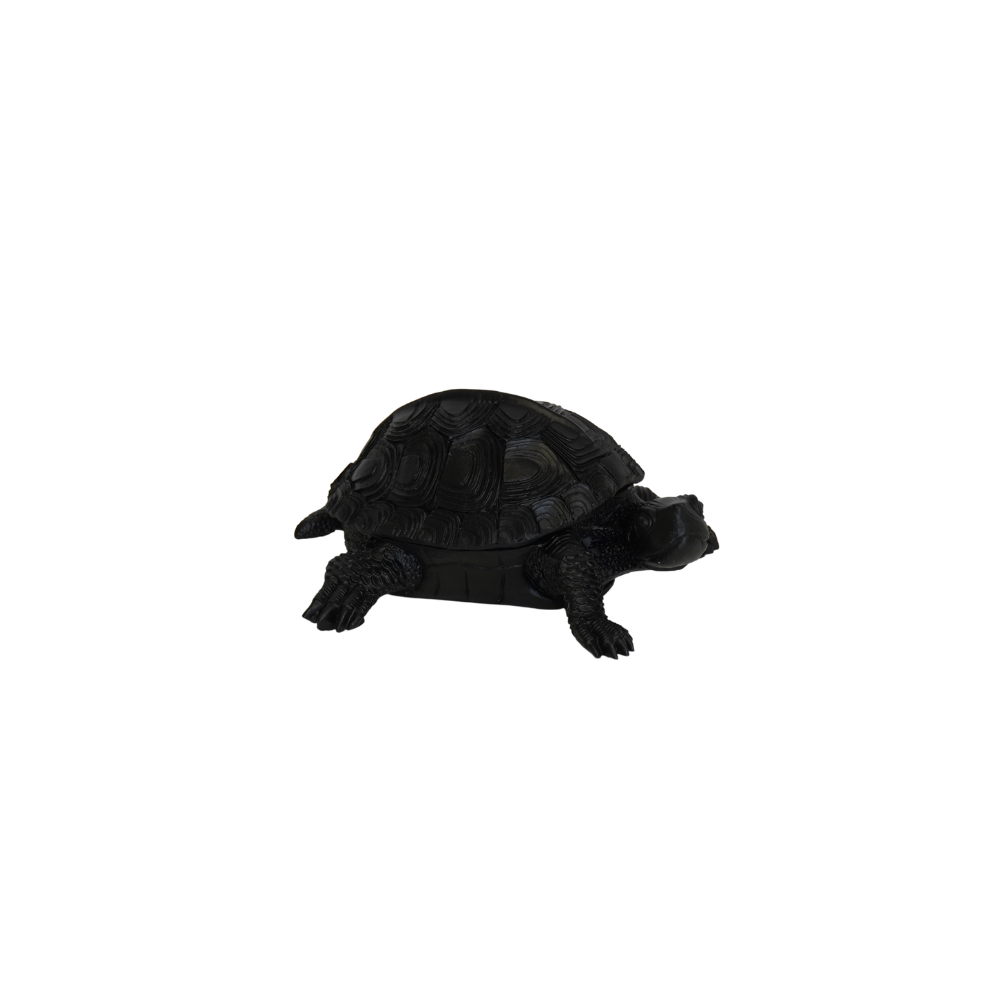 Boîte Tortue - Noir