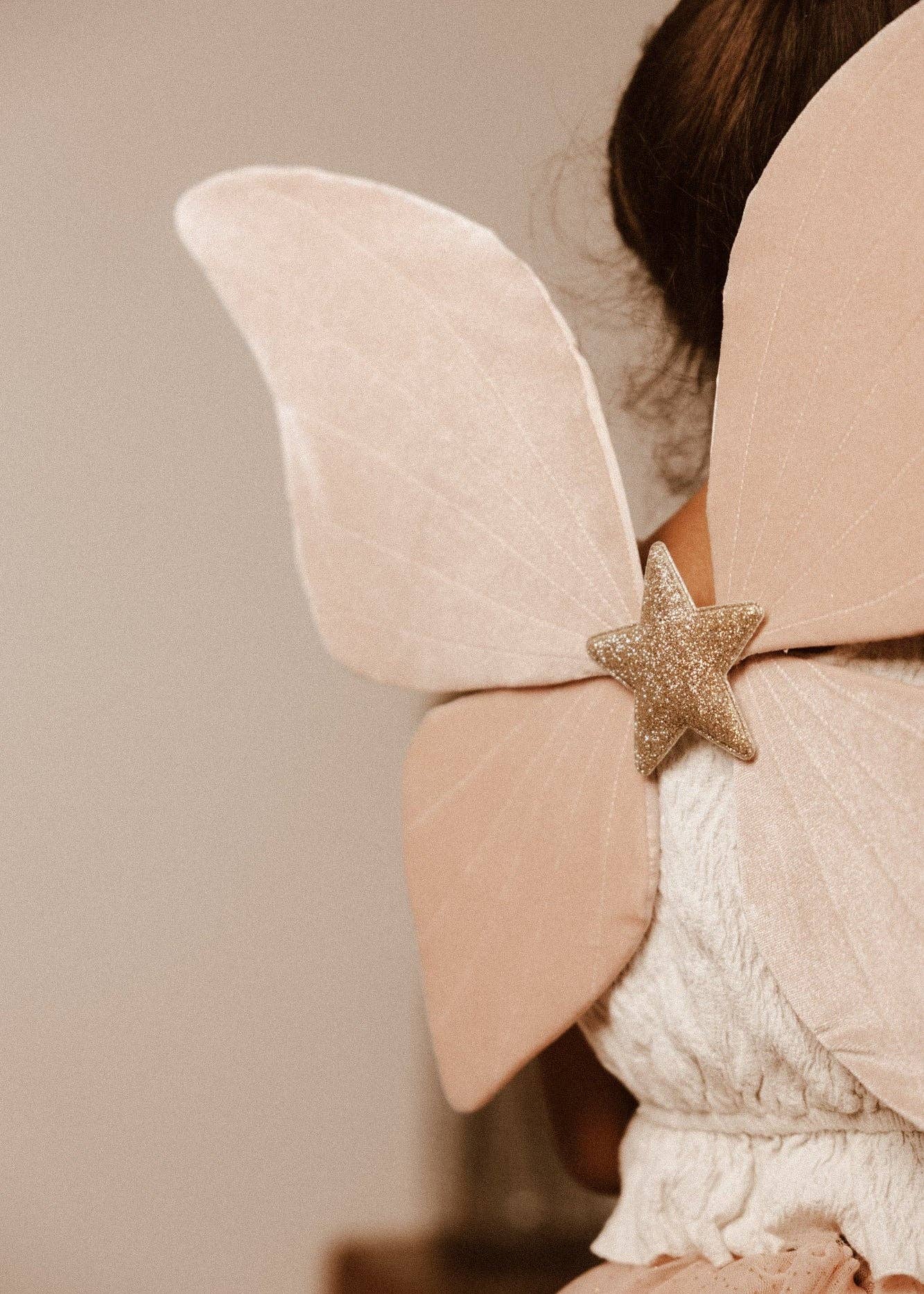 Le Papillon Rose - Déguisement de Papillon