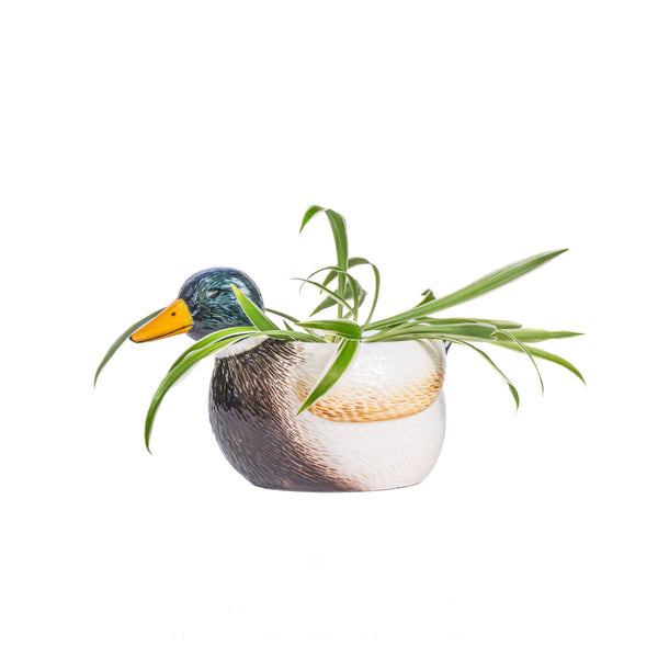 Mini bloempot voor wilde eenden