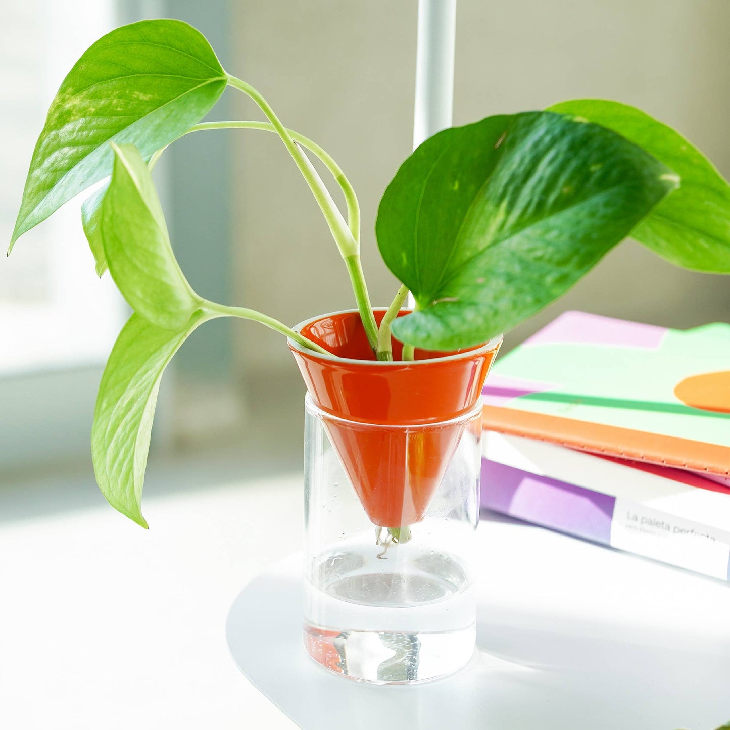 Cône Orange Vase Hydroponique Helio Ferretti Vue 1