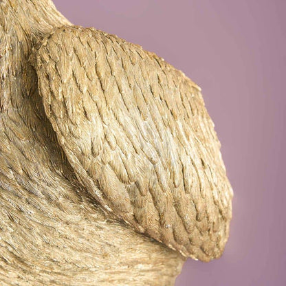 Applique murale Pélican Pelikanus or