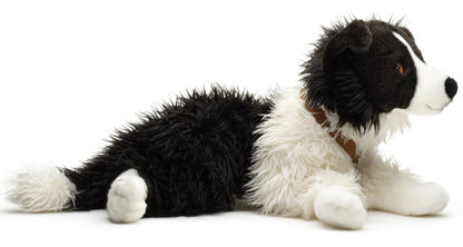 Plush Border Collie