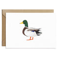 Carte de Vœux Canard Colvert