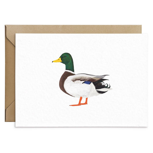 Carte de vœux Canard Colvert